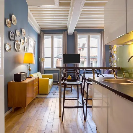 Like - Terreaux Apartment Lyon
